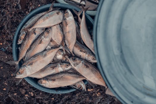 Fish Market At Sassoon Docks